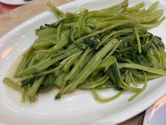 -联邦酒楼