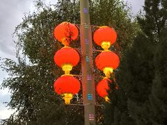 -特克斯八卦城