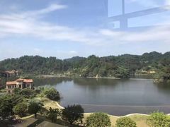 -河源万绿湖美思威尔顿酒店
