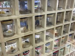 -三旗百汇商品城