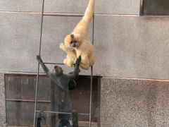 -昆明动物园