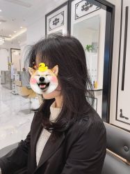-YESIDO椰岛造型