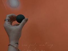 -健身专家Wellness Experts