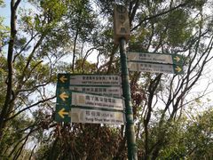 -南丫岛