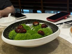-鹿园 MOOSE(长宁店)