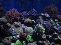 -珠海长隆海洋王国