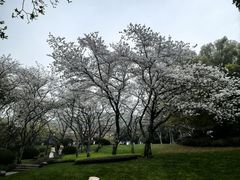 -中国茶叶博物馆(双峰馆区)