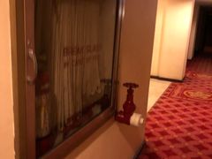 -马尼拉酒店