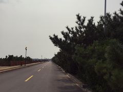 -日照海滨国家森林公园