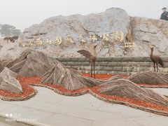 -北京西山国家森林公园