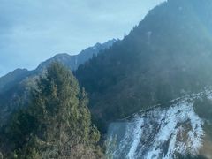 -卧龙自然保护区