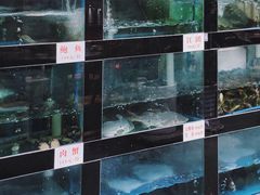 水产区-院8里·少城记忆老川菜(宽窄巷子店)