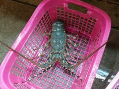 -班赞海鲜市场