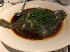 -梧桐餐厅(泉城路店)