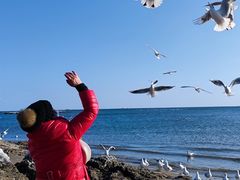 -老虎石海上公园