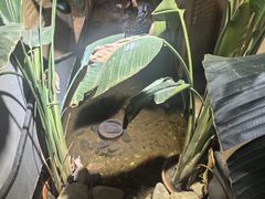 -邈墨茶馆(凤起路店)