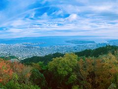 -神户市立六甲山牧场