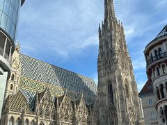 -斯蒂芬主教座堂(Stephansdom)