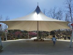 -合肥滨湖国家森林公园