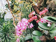 -北京植物园-展览温室