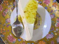 -古树酸奶(八廓南街店)