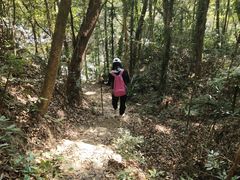 -罗浮山-南楼寺