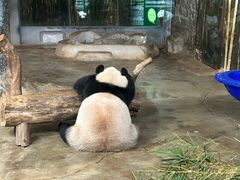-海南热带野生动植物园