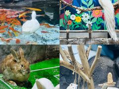 -海合安青岛极地海洋公园
