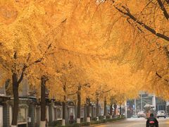 -四川大学(望江校区)