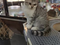 -弓舍射箭俱乐部(高新总店)