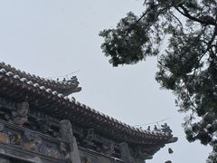-洛阳白马寺