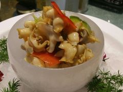android_upload_pic-三强鸽子(胜利路店)