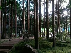 android_upload_pic-吉林省自然博物馆