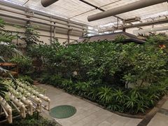 -春满园生态餐厅(南宫路店)