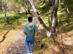 -苏木山森林公园