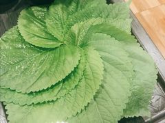 -汉江川烤肉(通州店)