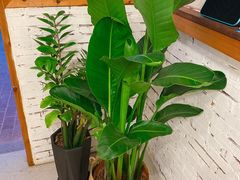 -甜心闲生传统手工冰粉(人民广场店)