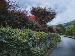 -鹿亭中村