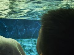 -泉城欧乐堡海洋极地世界