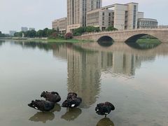 -江南大学(蠡湖校区)