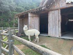 -龙岩森林水乡景区