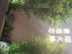 -鸽子侯·家宴·平价海鲜(市图书馆店)