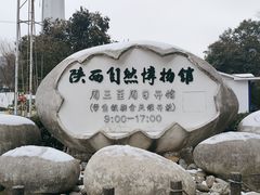 -陕西自然博物馆