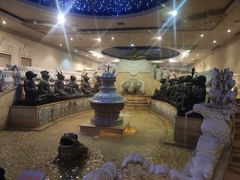 -乐山乌木文化博览苑