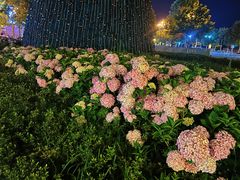 -那香海钻石沙滩浴场