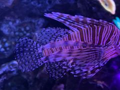 -正佳极地海洋世界