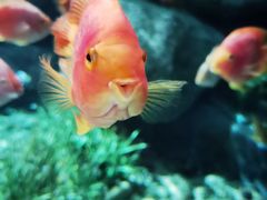 -福州罗源湾海洋世界旅游区