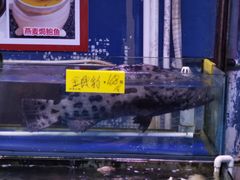 -四海之家(蛇口店)