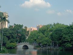 -荔湾湖公园