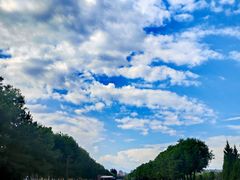 -汉长安城未央宫国家考古遗址公园